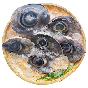 Mắt cá ngừ đại dương