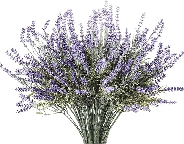 Hoa oải hương (lavender)